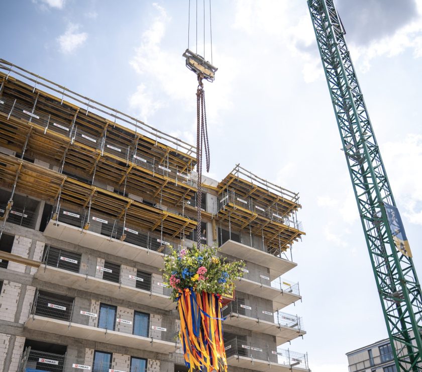 Wiecha zawisła na Esach Floresach!